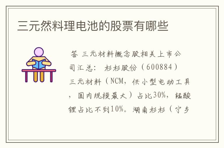 三元然料理电池的股票有哪些