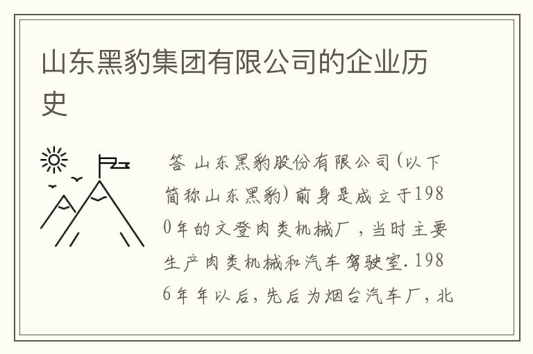 山东黑豹集团有限公司的企业历史