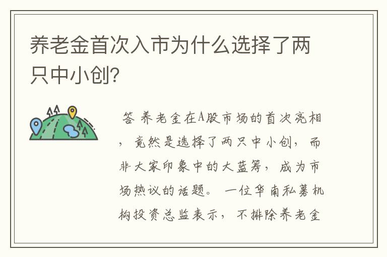 养老金首次入市为什么选择了两只中小创？