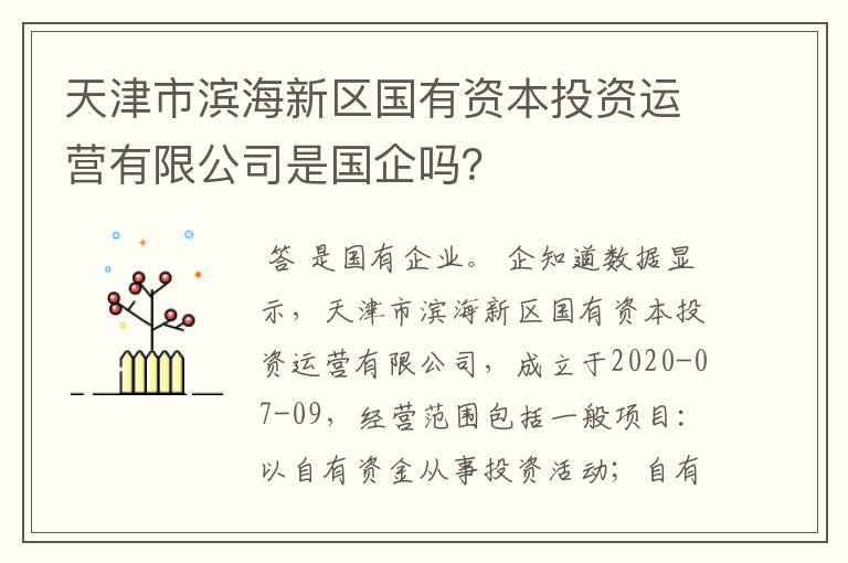 天津市滨海新区国有资本投资运营有限公司是国企吗？