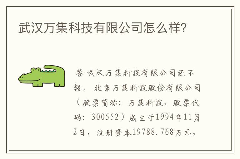 武汉万集科技有限公司怎么样？