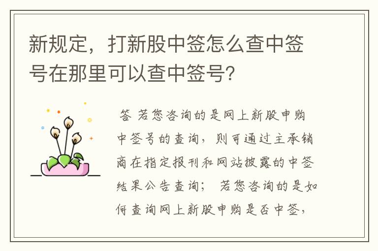 新规定，打新股中签怎么查中签号在那里可以查中签号？