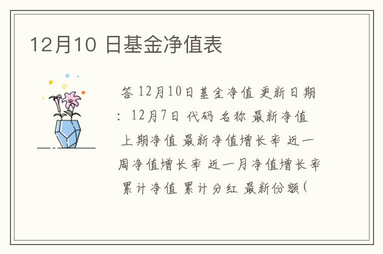 12月10 日基金净值表