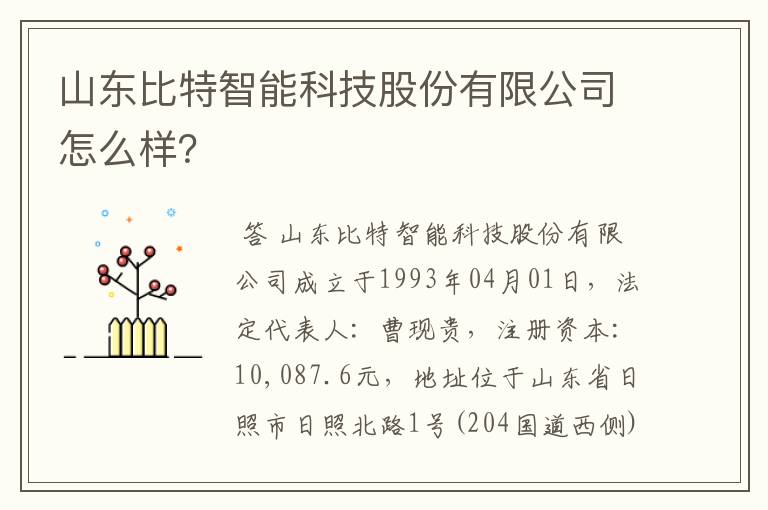 山东比特智能科技股份有限公司怎么样？