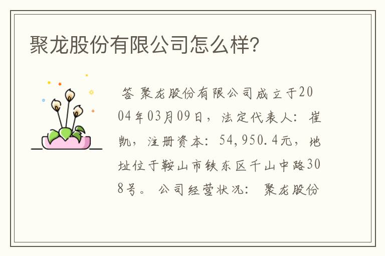 聚龙股份有限公司怎么样？