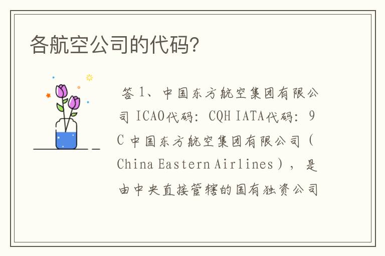 各航空公司的代码？