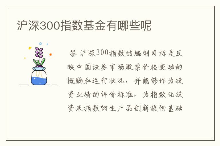 沪深300指数基金有哪些呢