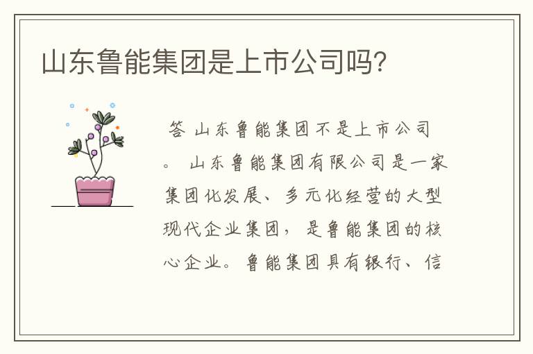 山东鲁能集团是上市公司吗？