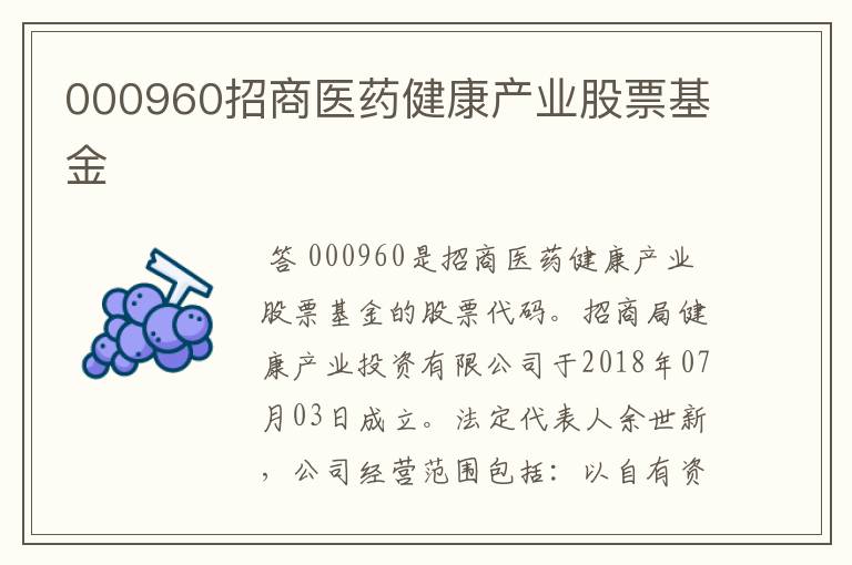 000960招商医药健康产业股票基金