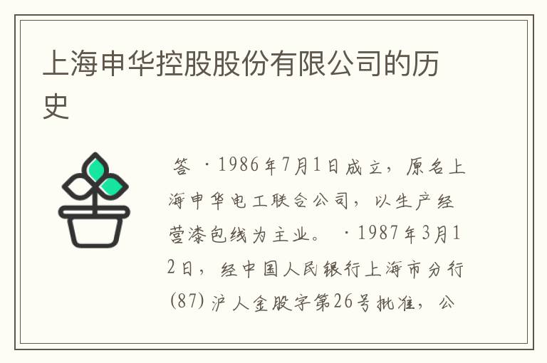 上海申华控股股份有限公司的历史