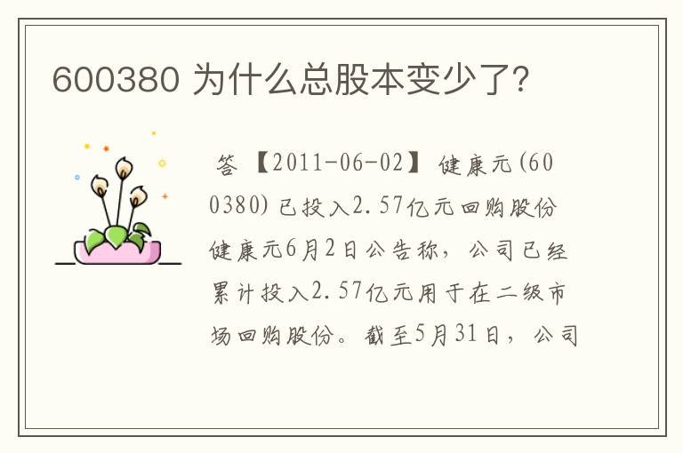 600380 为什么总股本变少了？