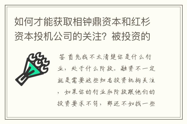 如何才能获取相钟鼎资本和红杉资本投机公司的关注？被投资的公司有什么优势才能吸引投资公司进行融资？