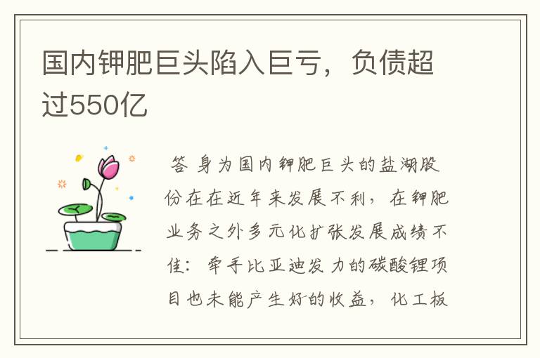 国内钾肥巨头陷入巨亏，负债超过550亿