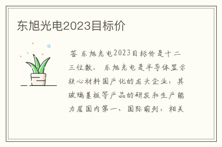 东旭光电2023目标价