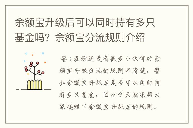 余额宝升级后可以同时持有多只基金吗？余额宝分流规则介绍