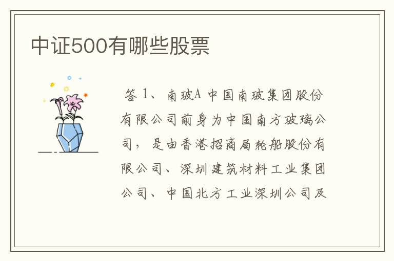 中证500有哪些股票