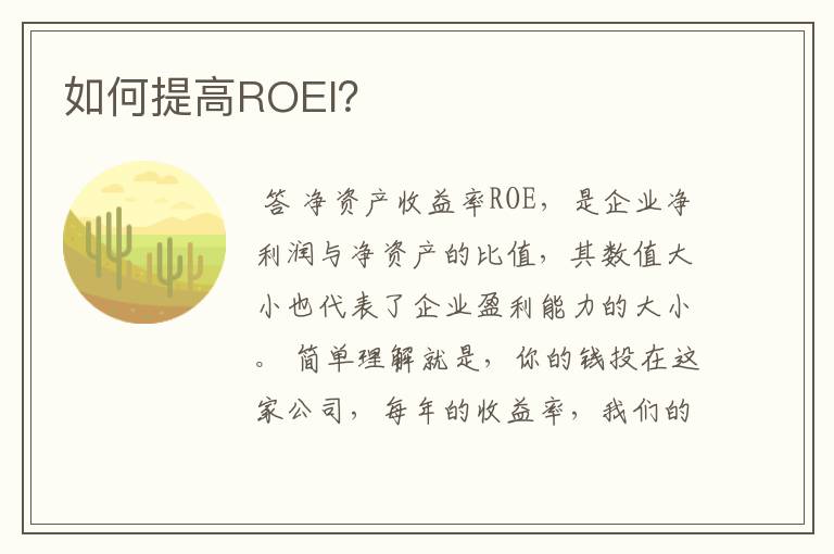 如何提高ROEl？