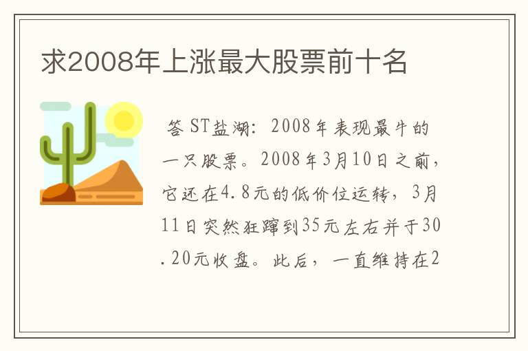 求2008年上涨最大股票前十名