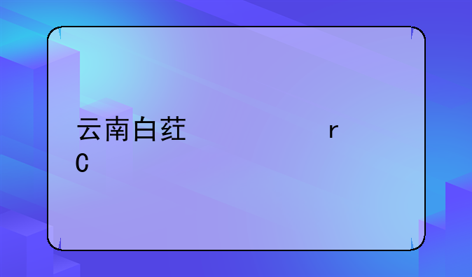 云南白药资本运作