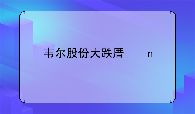 韦尔股份大跌原因