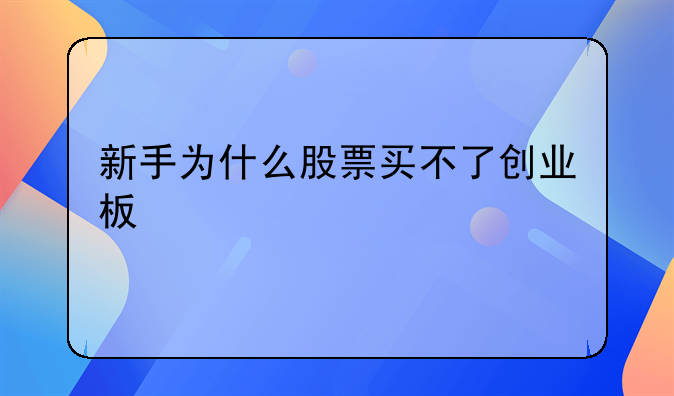 新手为什么股票买不了创业板