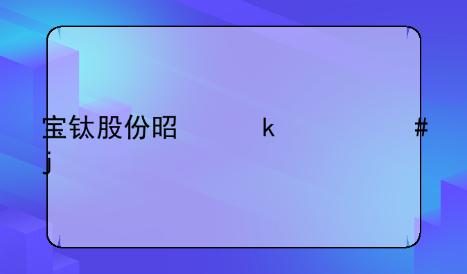 宝钛股份是做什么的