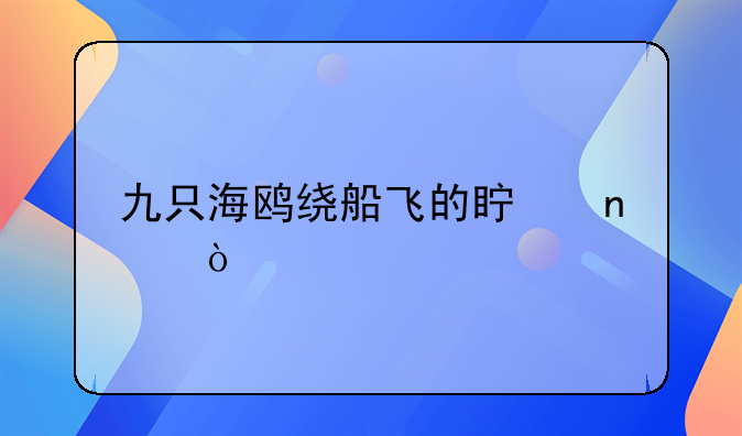 九只海鸥绕船飞的真相？