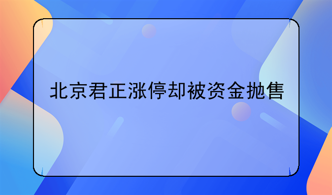 北京君正涨停却被资金抛售