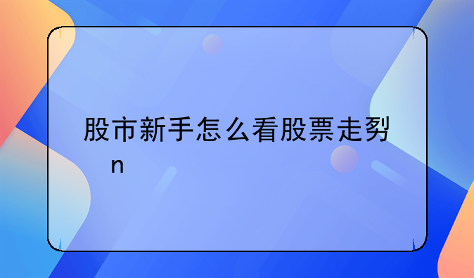 股市新手怎么看股票走势图