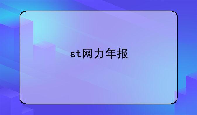 st网力年报