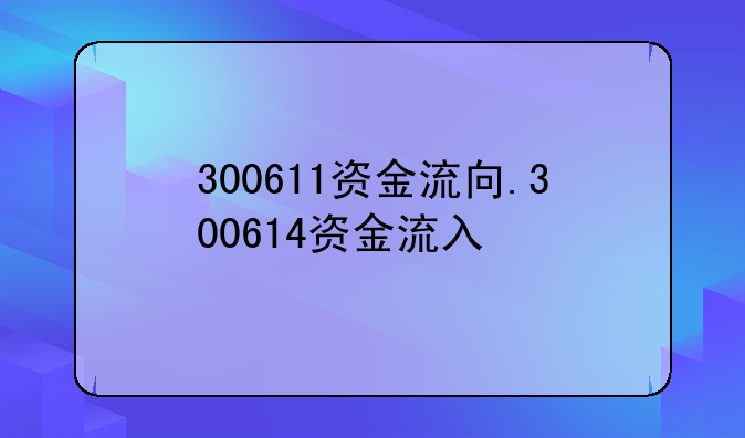 300611资金流向.300614资金流入